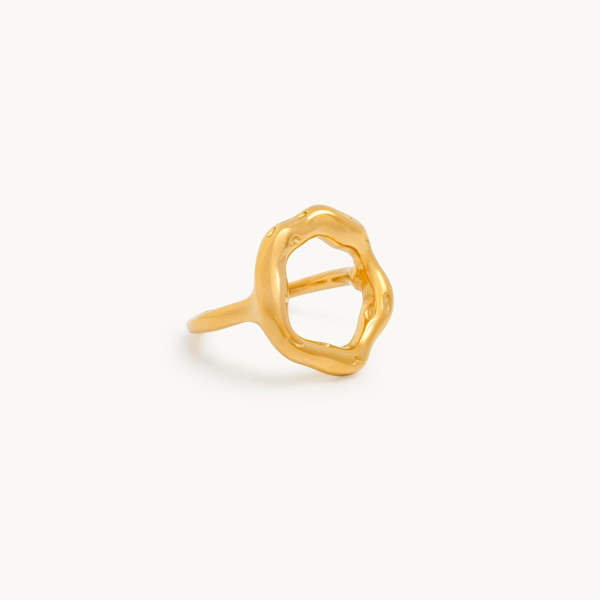 Anel Terra | SILLENE