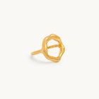 Anel Terra | SILLENE