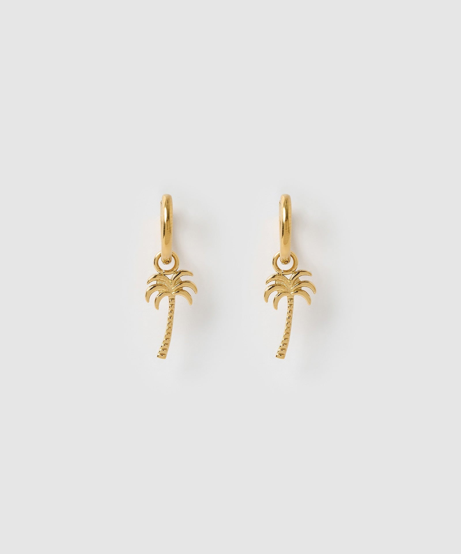 Brinco Argola Palm Springs - Ouro 18K | SILLENE