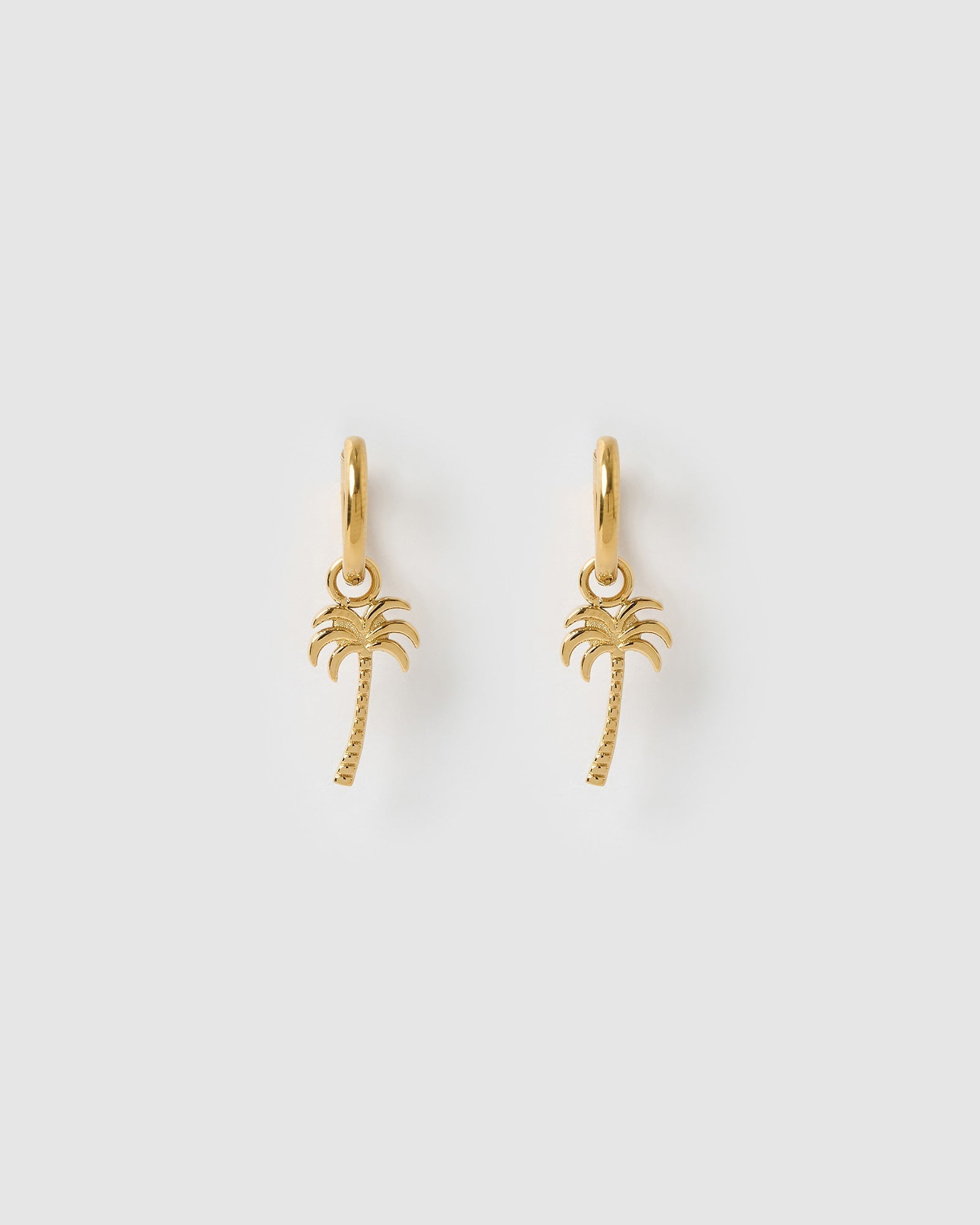 Brinco Argola Palm Springs - Ouro 18K | SILLENE