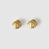 Brinco Concha Kaia - Ouro 18K | SILLENE