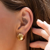 Brinco Concha Kaia - Ouro 18K | SILLENE - uso