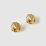 Brinco Concha Kaia - Ouro 18K | SILLENE
