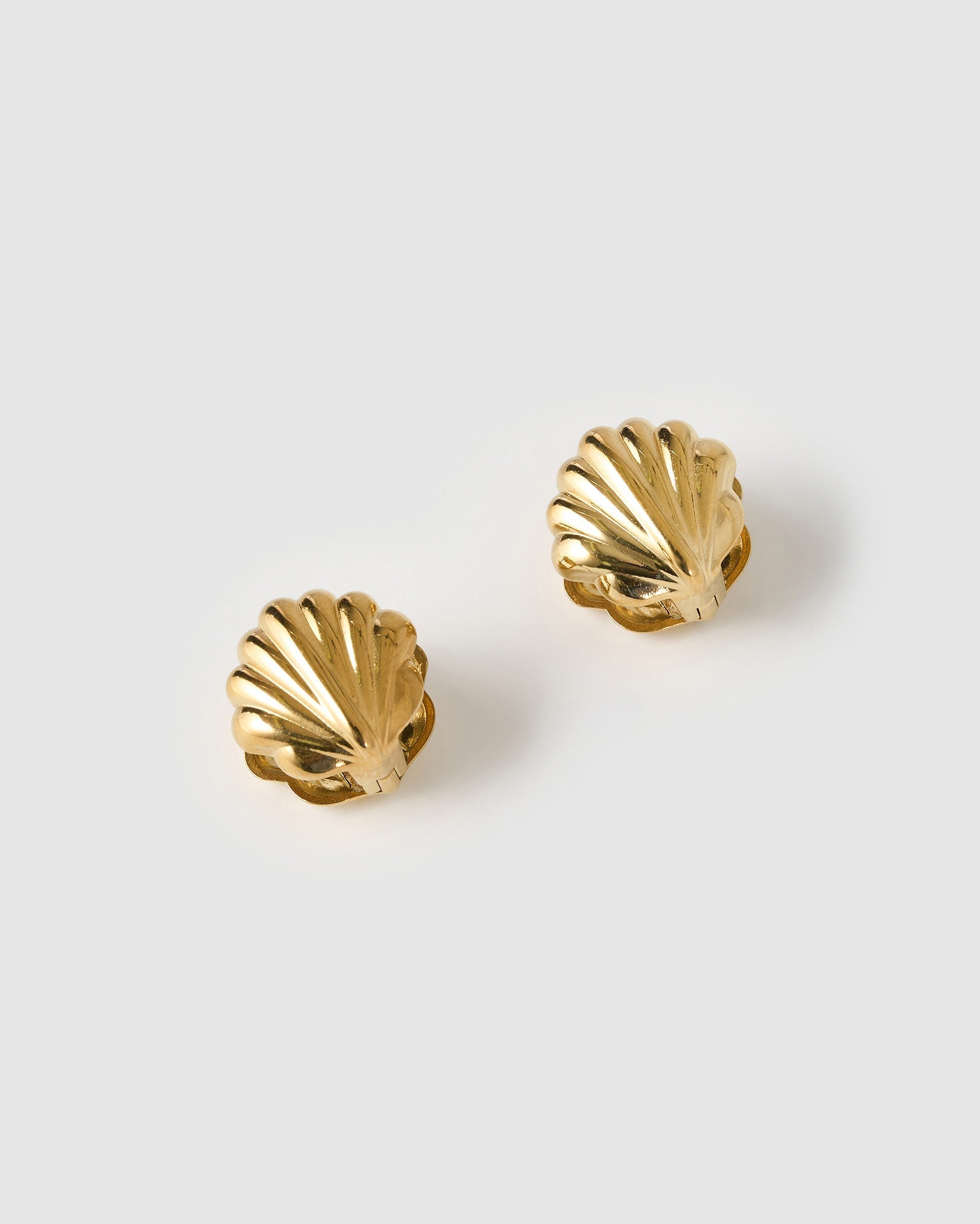 Brinco Concha Kaia - Ouro 18K | SILLENE