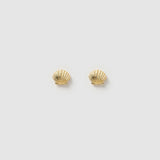 Brinco Concha Shelli de Pino - Ouro 18K | SILLENE