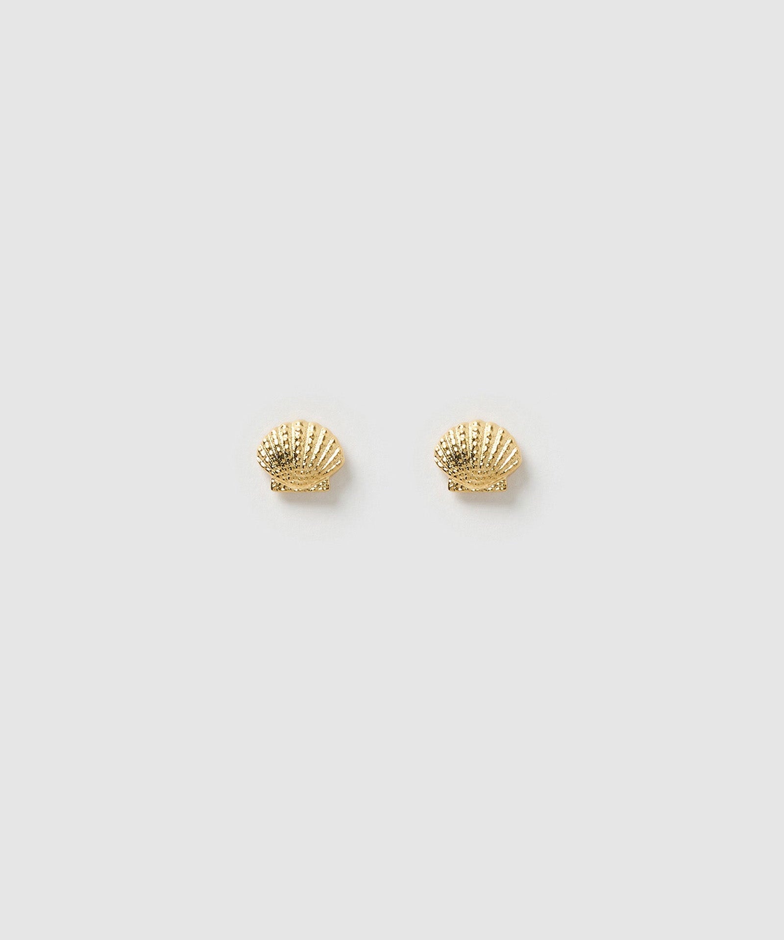 Brinco Concha Shelli de Pino - Ouro 18K | SILLENE