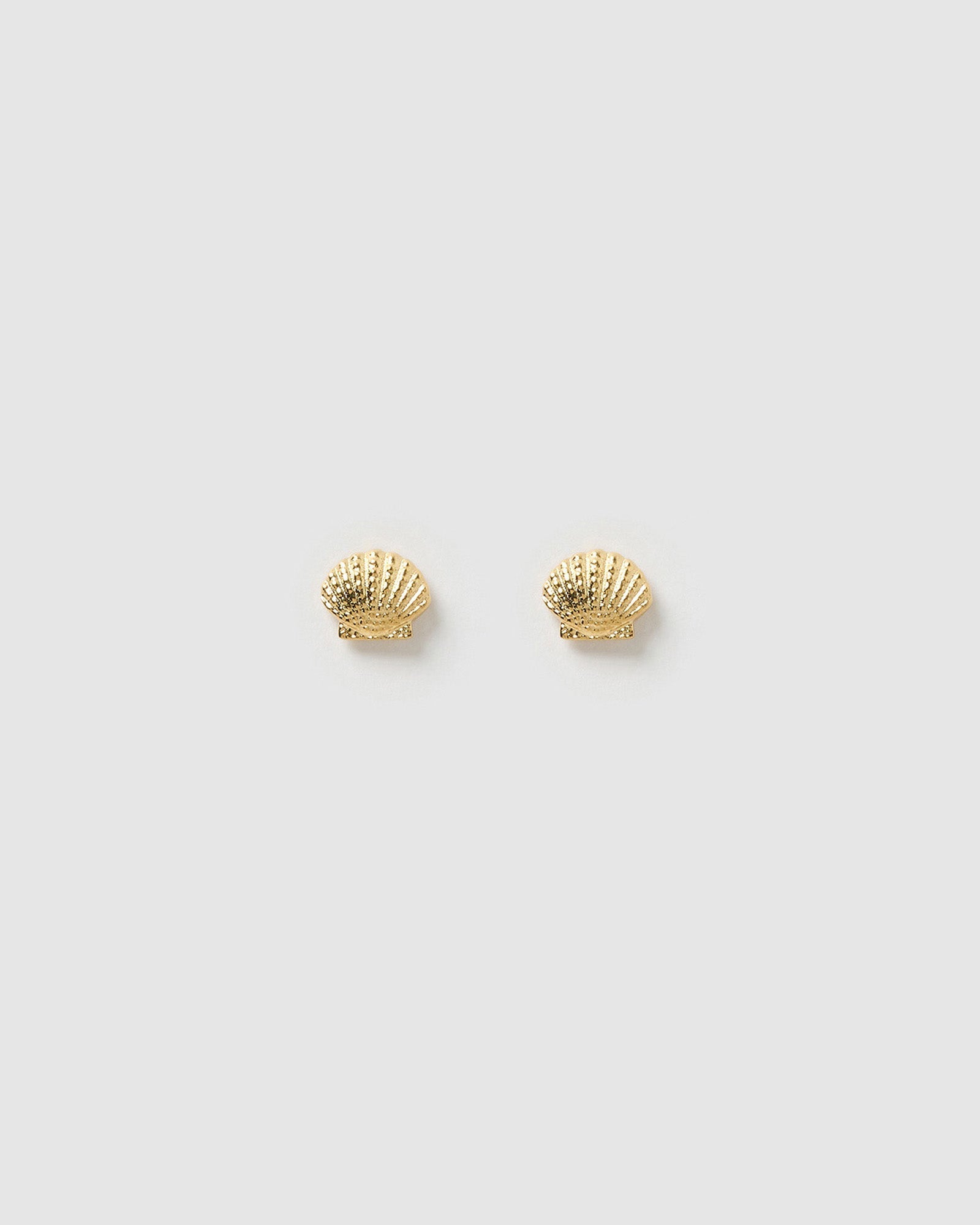 Brinco Concha Shelli de Pino - Ouro 18K | SILLENE