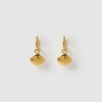 Brinco Concha Shelli - Ouro 18K | SILLENE