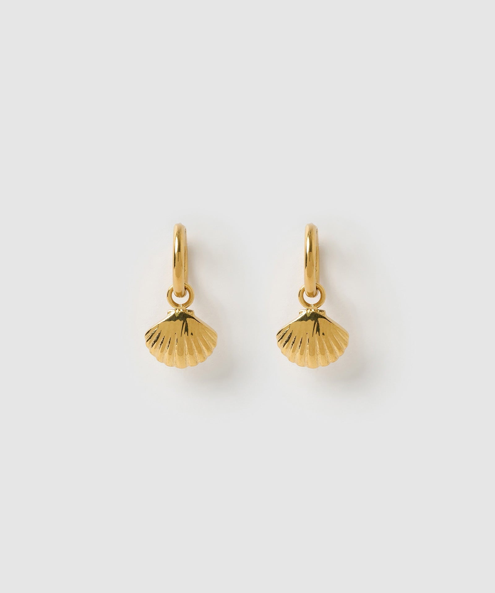 Brinco Concha Shelli - Ouro 18K | SILLENE