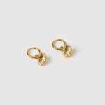 Brinco Concha Shelli - Ouro 18K | SILLENE