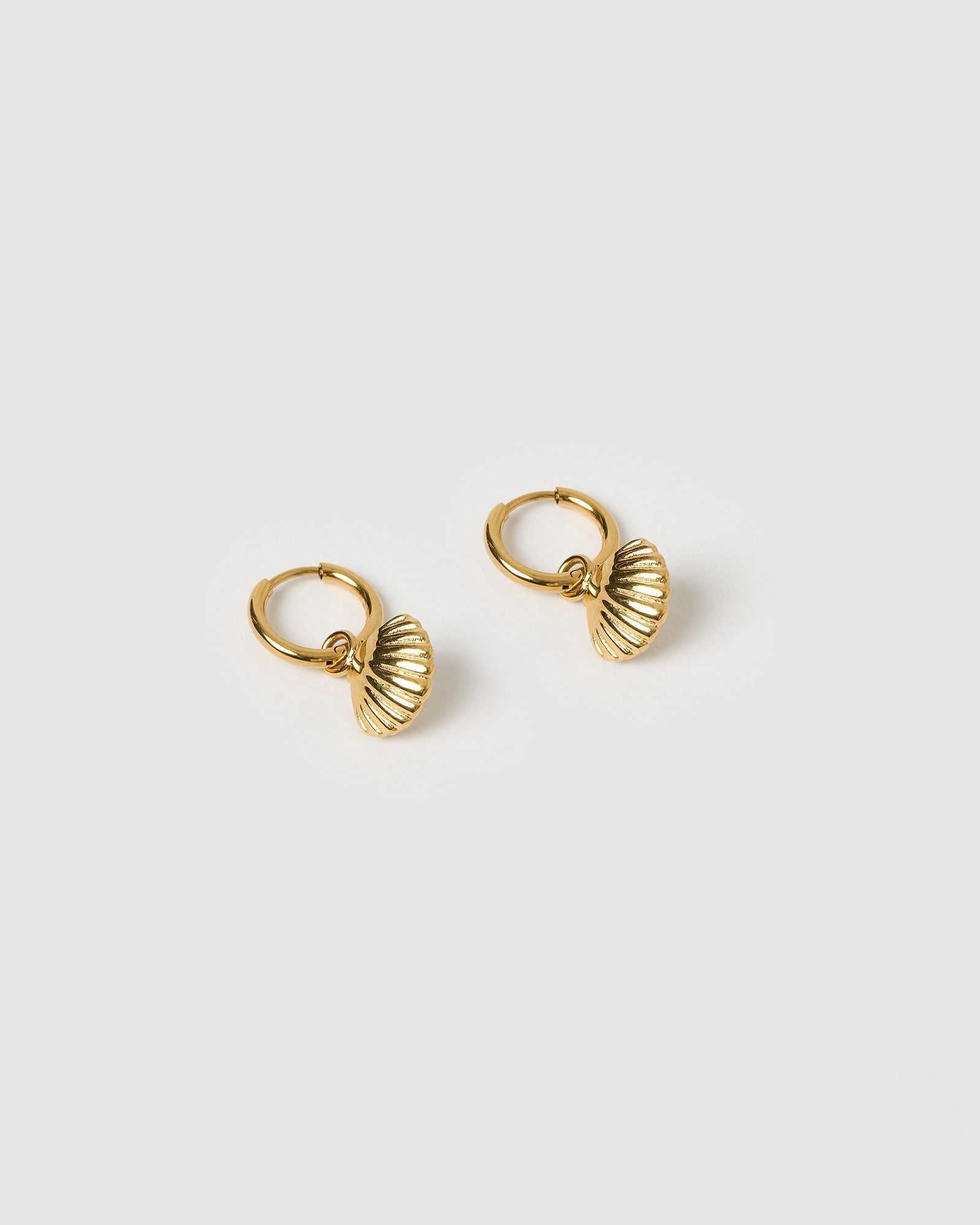 Brinco Concha Shelli - Ouro 18K | SILLENE