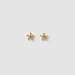 Brinco Estrela-do-Mar de Pino - Ouro 18K | SILLENE