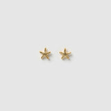 Brinco Estrela-do-Mar de Pino - Ouro 18K | SILLENE
