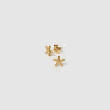 Brinco Estrela-do-Mar de Pino - Ouro 18K - detalhe 06 | SILLENE