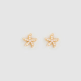Brinco Estrela do Mar Malibu Pérola - Ouro 18K | SILLENE