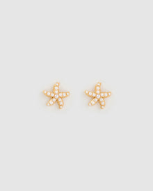 Brinco Estrela do Mar Malibu Pérola - Ouro 18K | SILLENE
