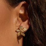 Brinco Lírio - Ouro 18K | SILLENE - uso