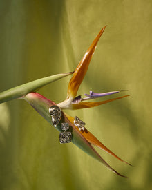 Brinco Seychelles Espiral - Ouro 18K | SILLENE - uso