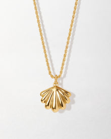 Colar Medalhão Concha Laguna - Ouro 18K | SILLENE