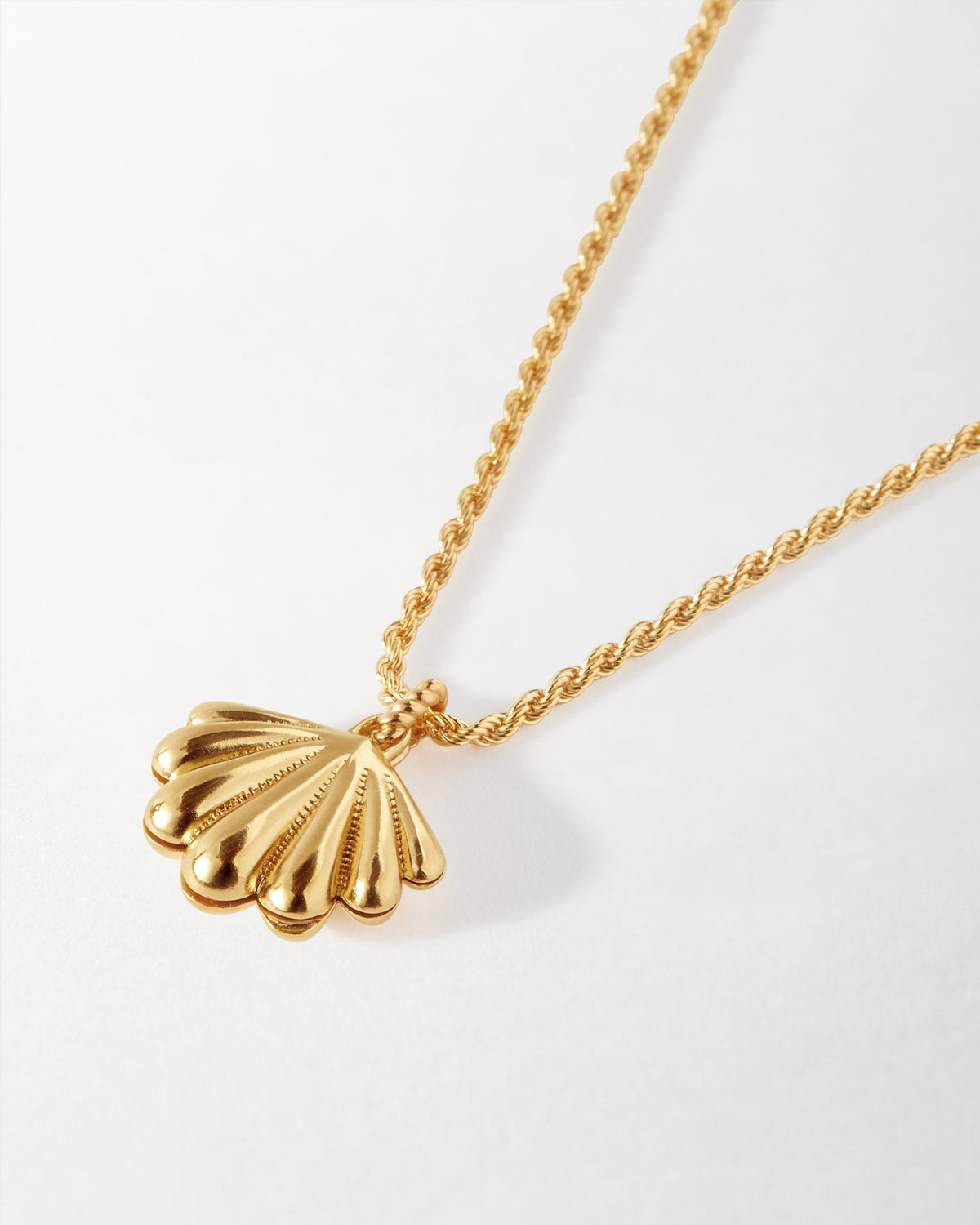 Colar Medalhão Concha Laguna - Ouro 18K | SILLENE