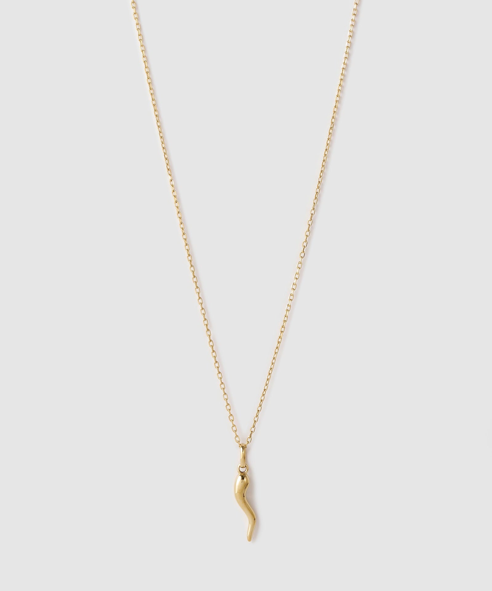 Colar Pingente Cornicello Grande - Ouro 18K | SILLENE