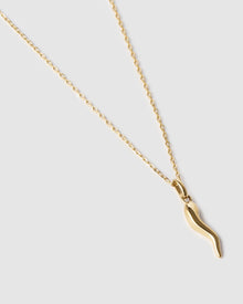 Colar Pingente Cornicello Grande - Ouro 18K | SILLENE