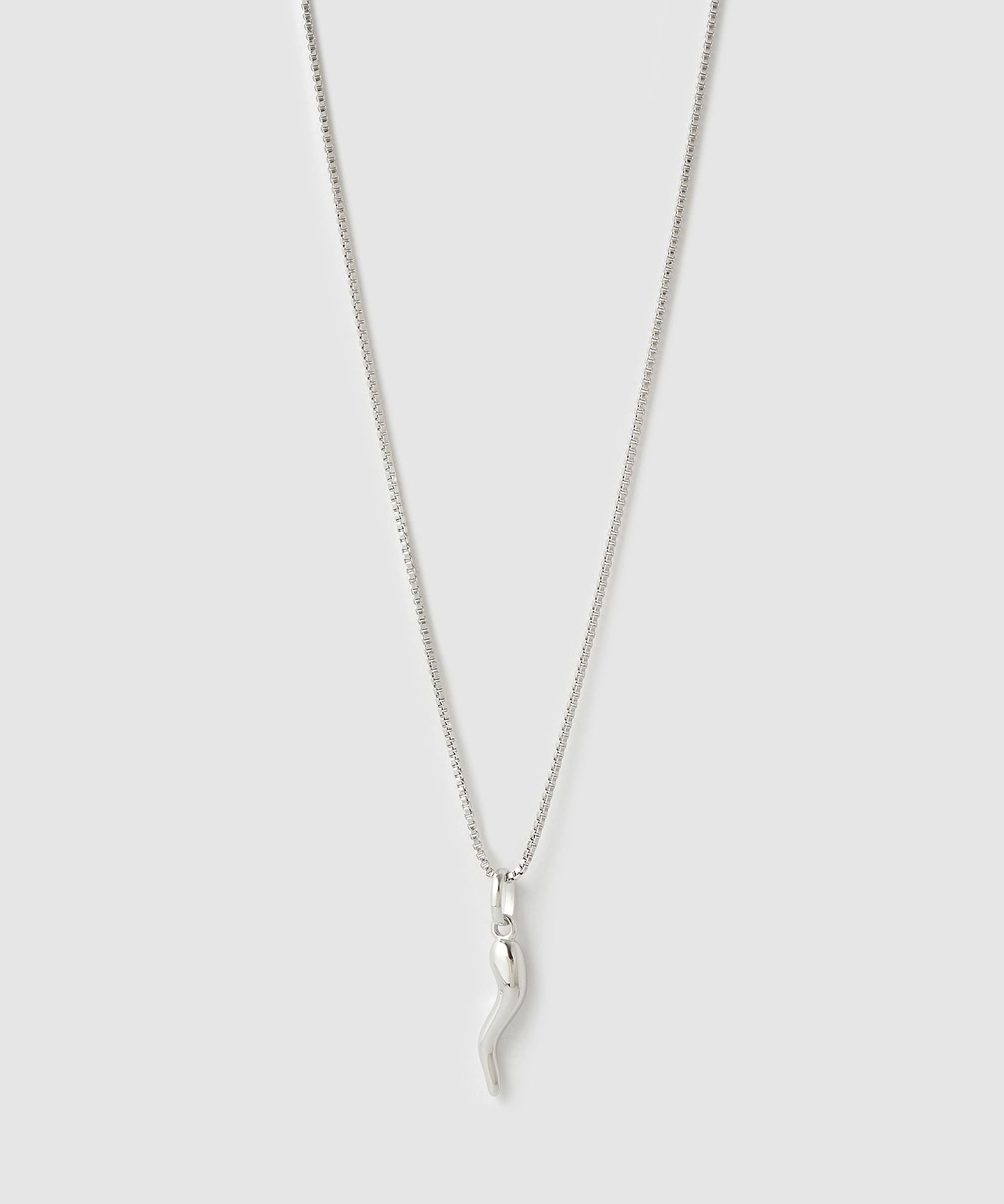 Colar Pingente Cornicello - Prata | SILLENE