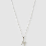 Colar Pingente Inicial - Prata | SILLENE - M