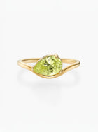 Anel Pia Pedra do Mês - Ouro 18K