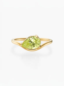 Anel Pia Pedra do Mês - Ouro 18K