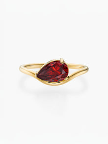 Anel Pia Pedra do Mês - Ouro 18K