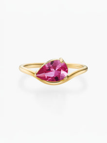 Anel Pia Pedra do Mês - Ouro 18K