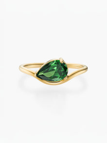 Anel Pia Pedra do Mês - Ouro 18K