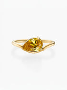 Anel Pia Pedra do Mês - Ouro 18K
