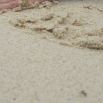 Anel Encontro das Estrelas-do-Mar | SILLENE
