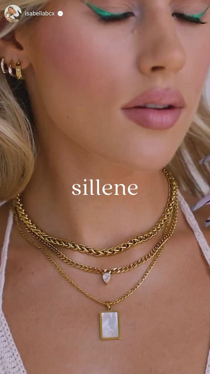 Vídeo social SILLENE