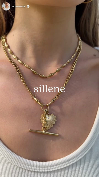Vídeo social SILLENE