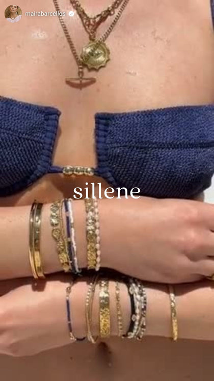 Vídeo social SILLENE