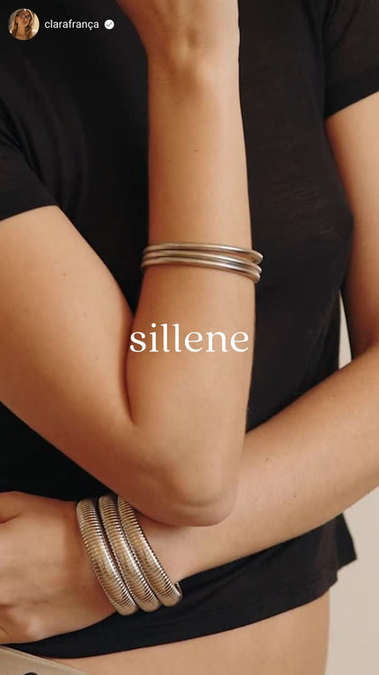 Vídeo social SILLENE